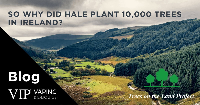 So Why Did Hale Plant 10,000 trees in Ireland?